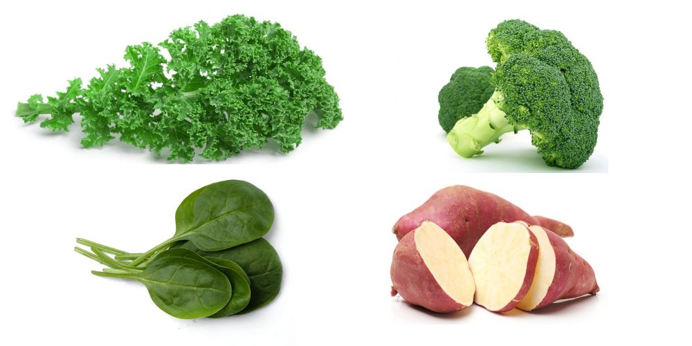 vitamin list their functions and sources