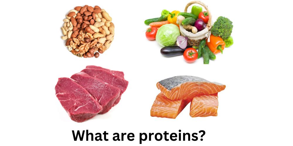 What are Proteins? Why You Need it? - Healthy Food Log